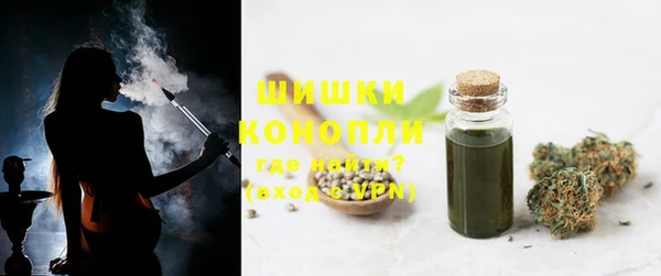 PSILOCYBIN Покачи
