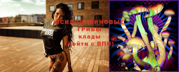 стафф Алзамай